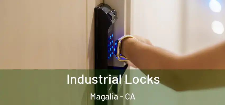  Industrial Locks Magalia - CA